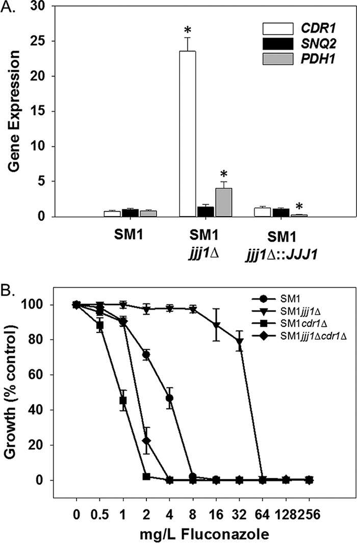 FIG 2 