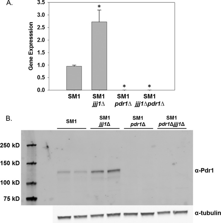 FIG 3 