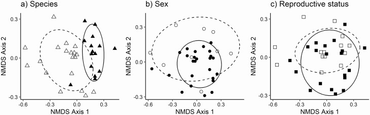 Scent Marks Signal Species Sex And Reproductive Status In Tamarins