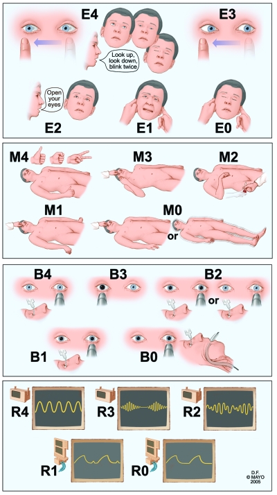 FIGURE 1.