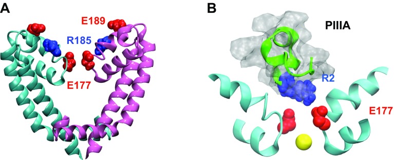 Figure 11.