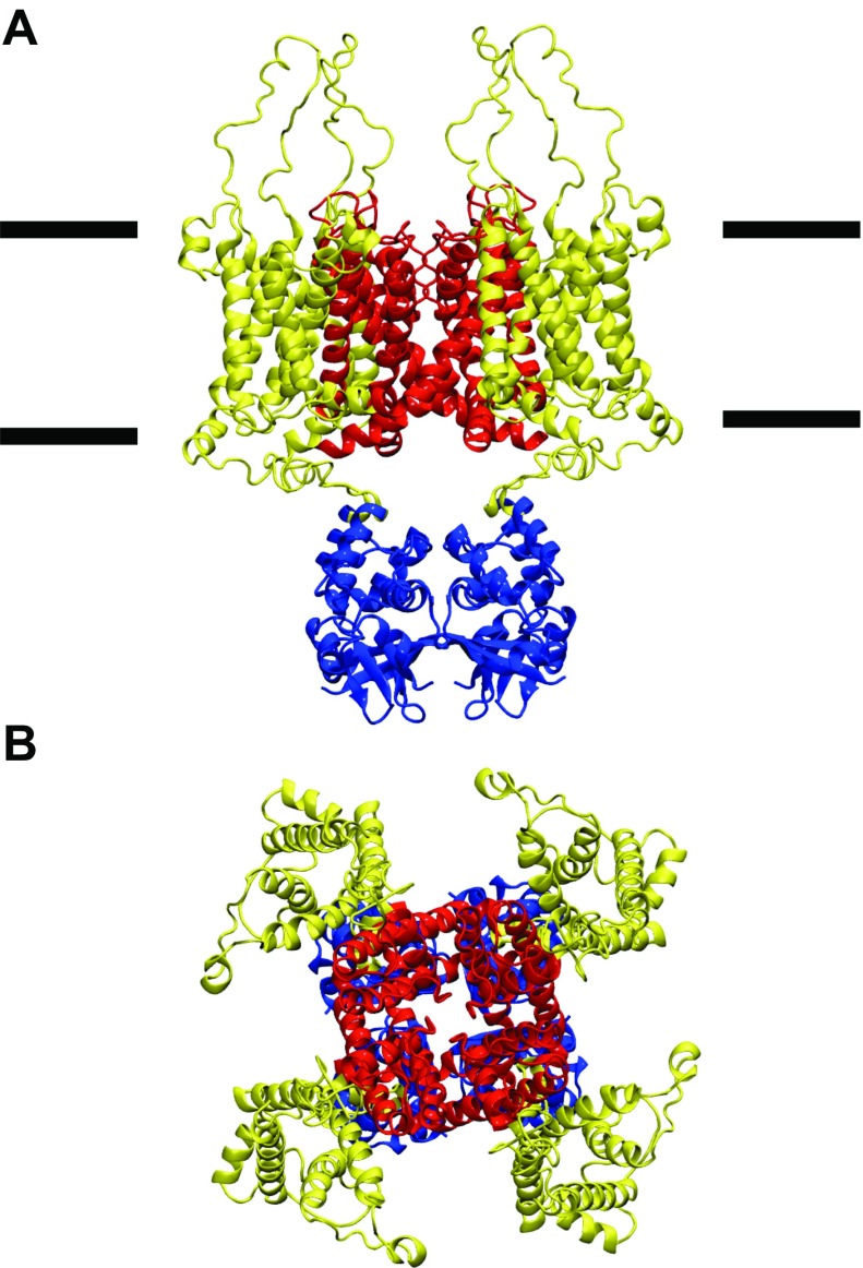 Figure 4.