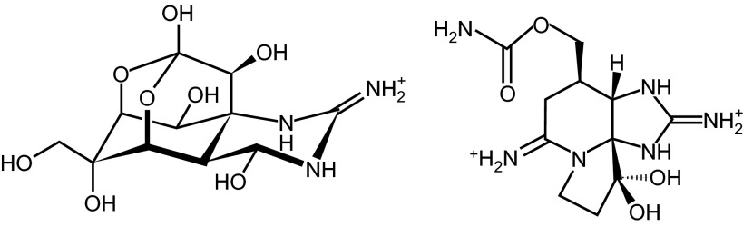 Figure 10.