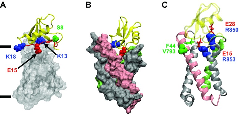 Figure 13.