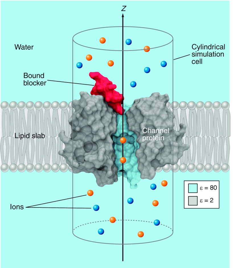 Figure 2.