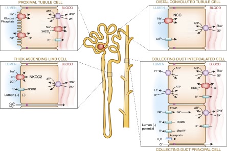 Figure 5.