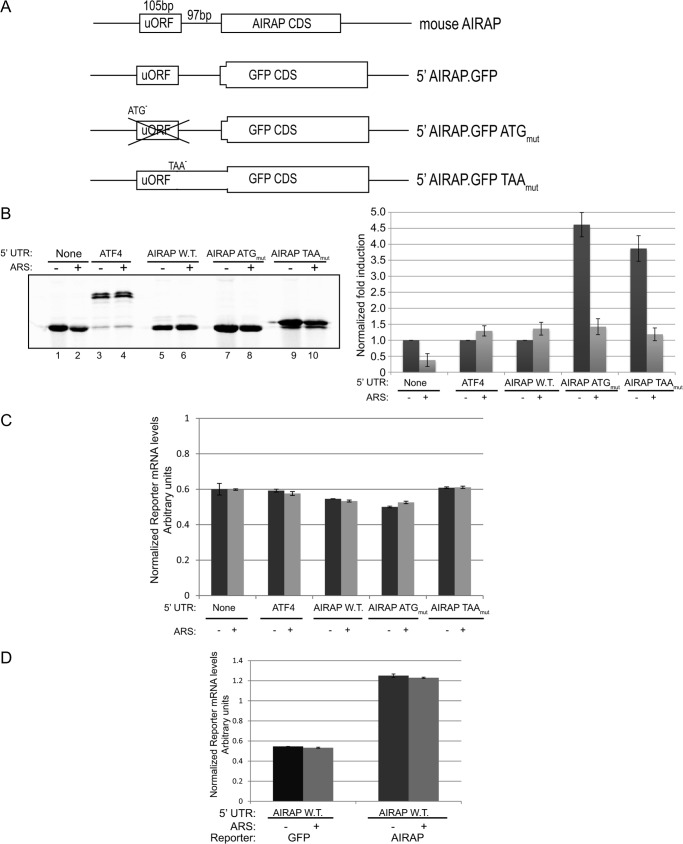 FIGURE 2.