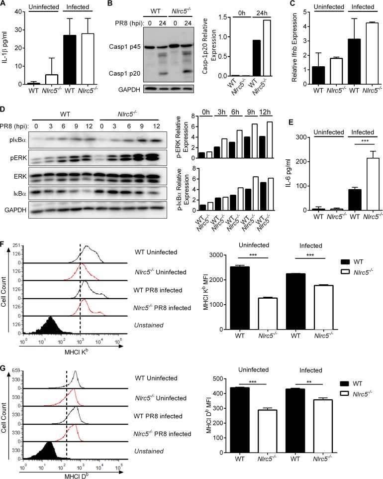 FIG 1