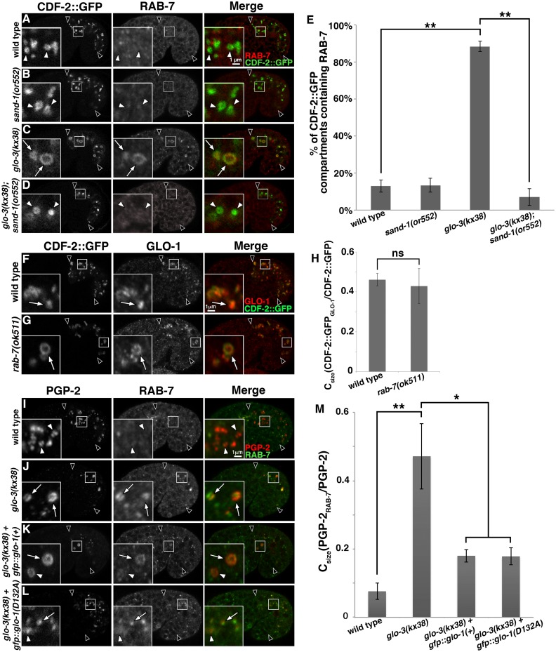 Fig 10