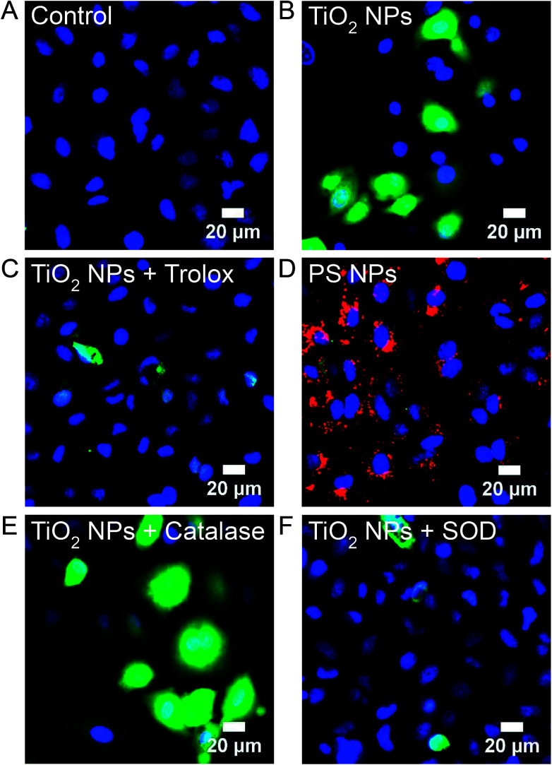 Fig. 8