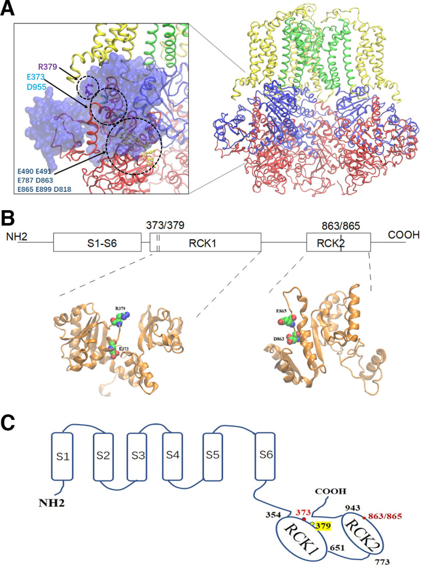 Figure 18.