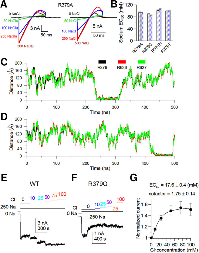 Figure 16.