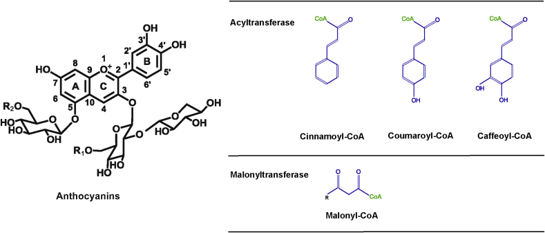 Fig. 1