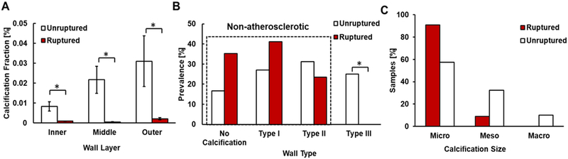 Figure 5: