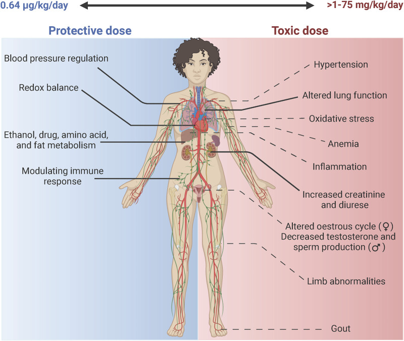 FIGURE 2