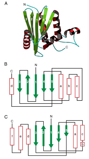 Figure 31