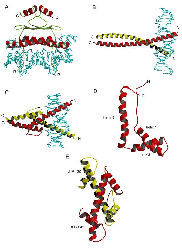 Figure 18