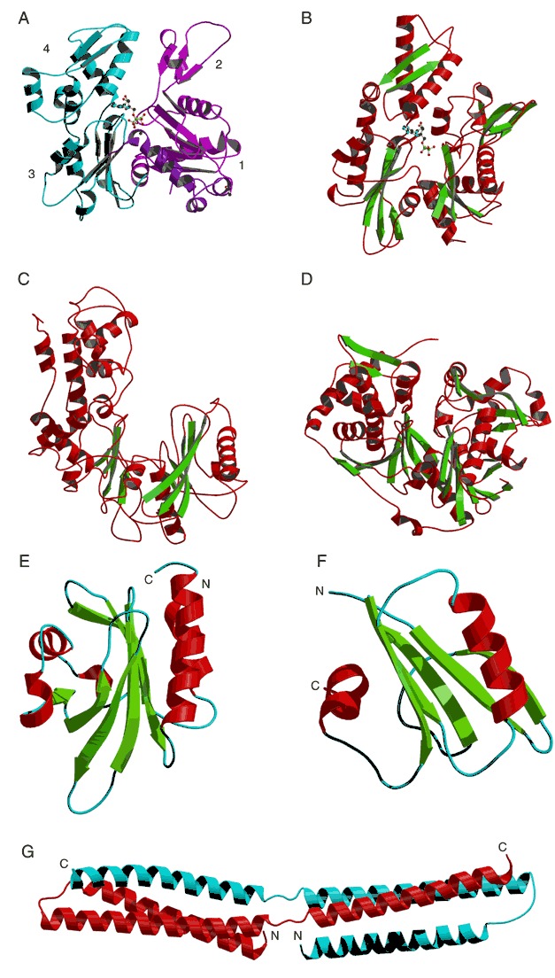 Figure 32