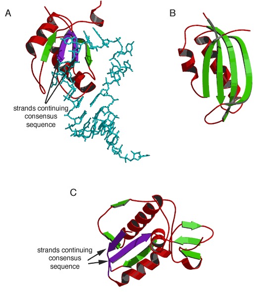 Figure 20