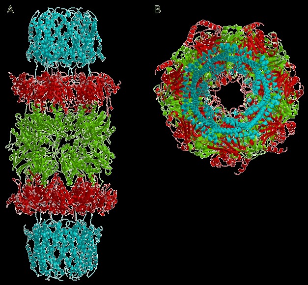 Figure 45