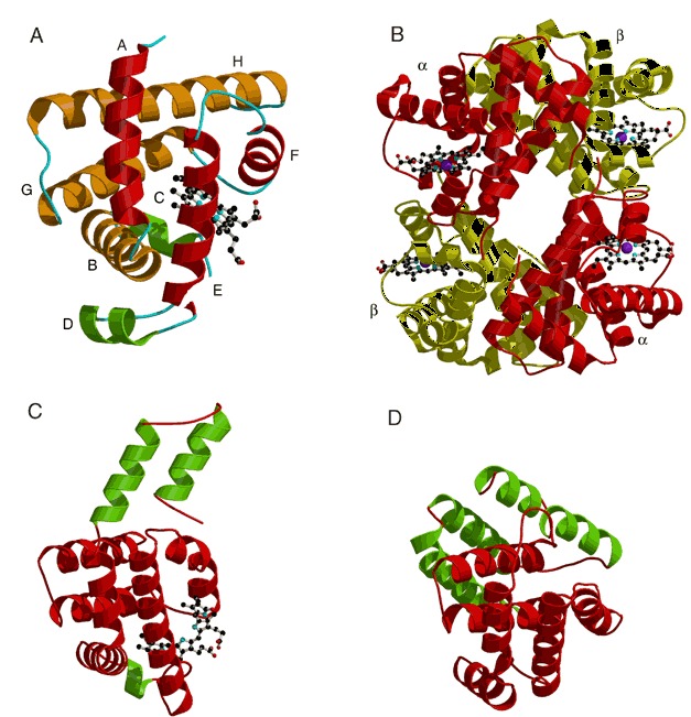 Figure 38