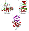 Figure 14