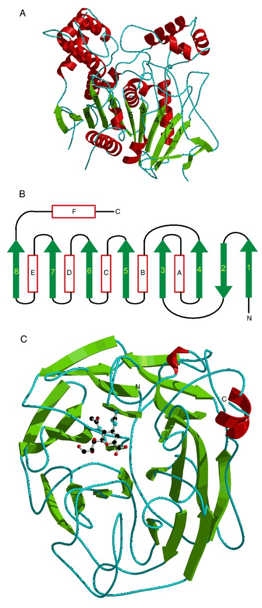 Figure 33