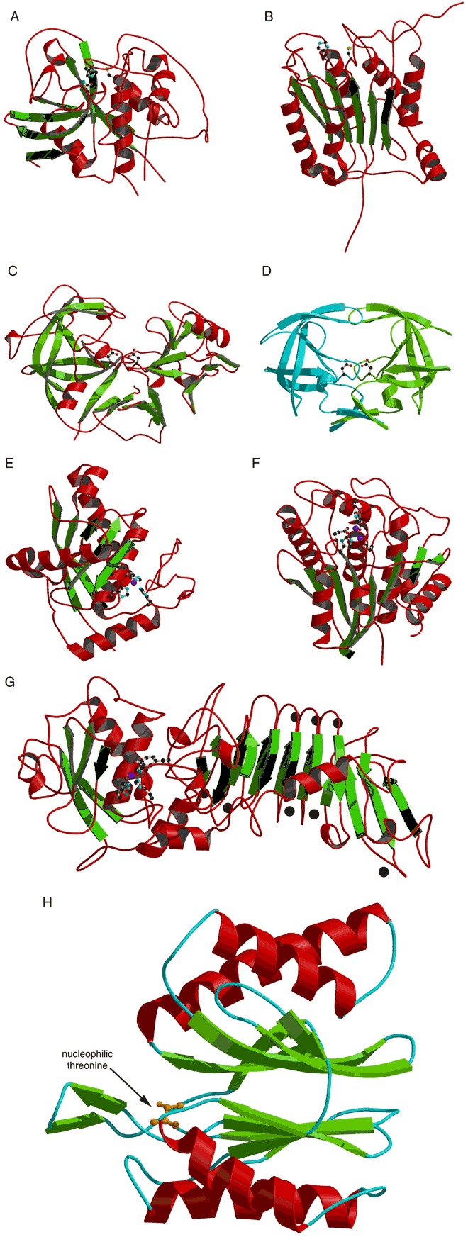 Figure 35