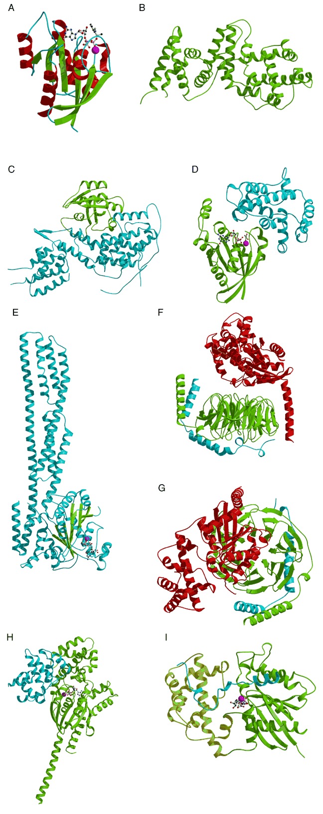 Figure 43