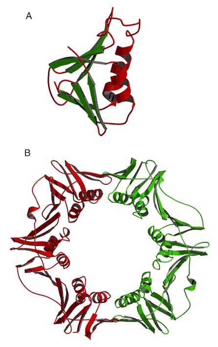 Figure 29