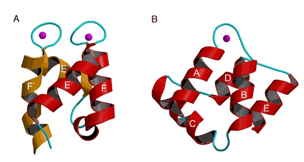 Figure 26