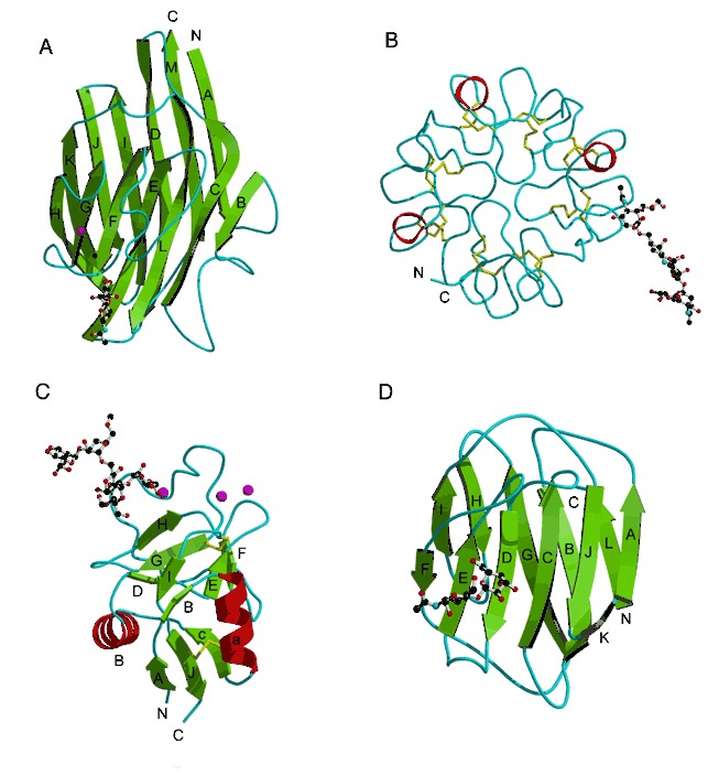 Figure 25