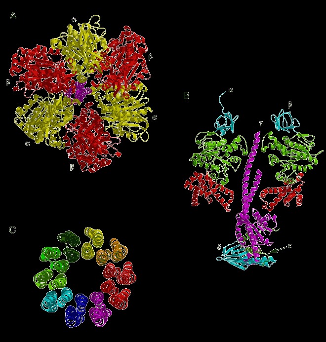 Figure 44