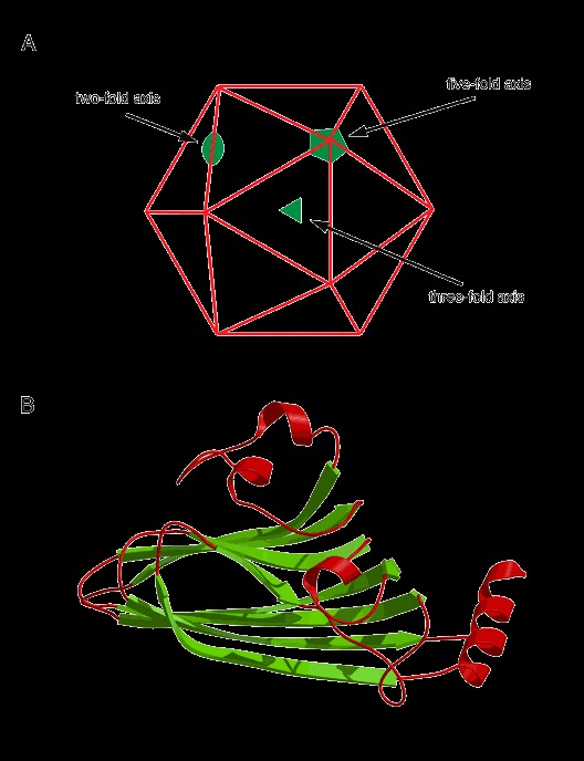 Figure 46