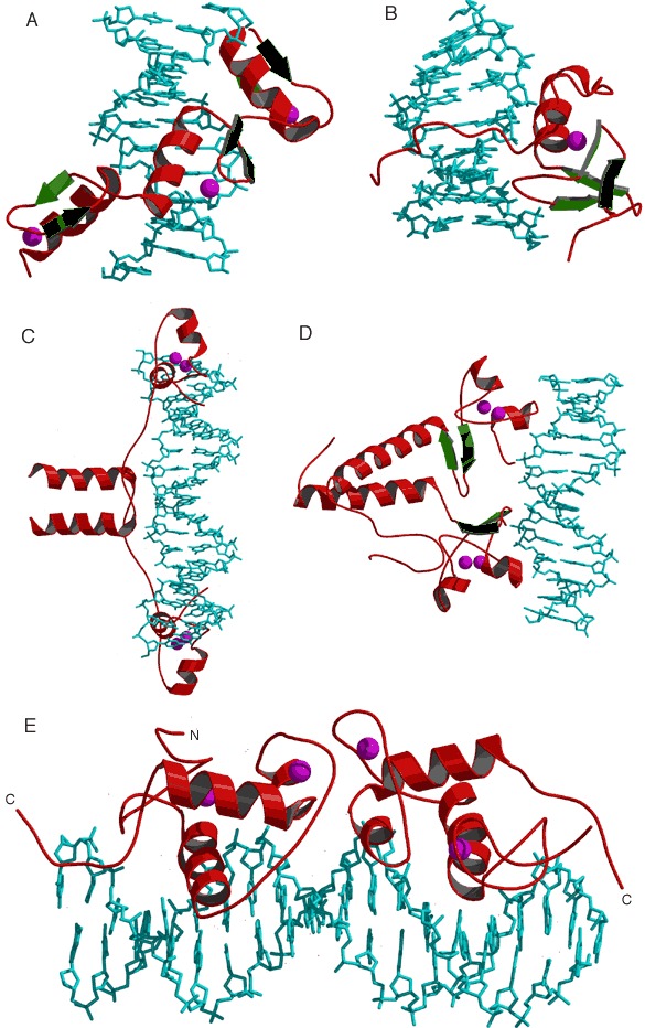 Figure 17