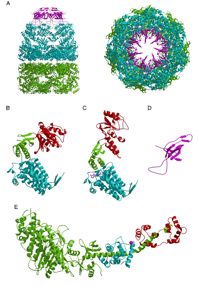 Figure 42