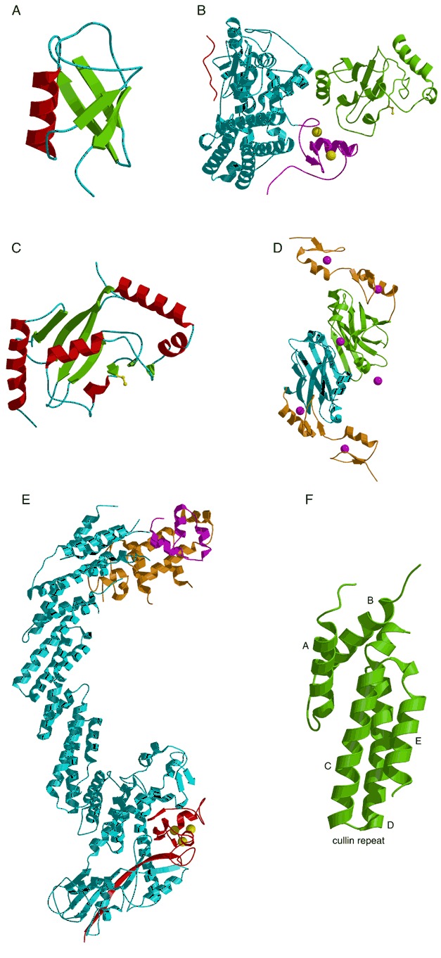 Figure 36