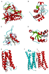 Figure 37