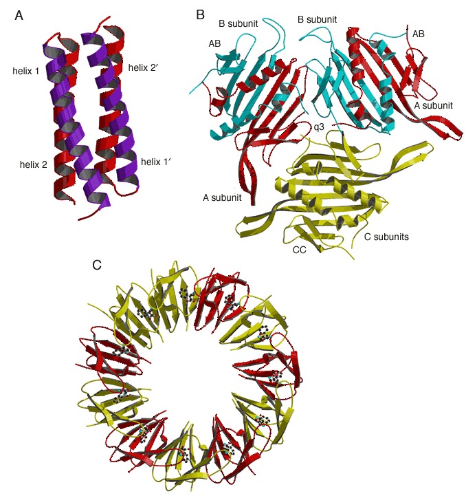 Figure 23