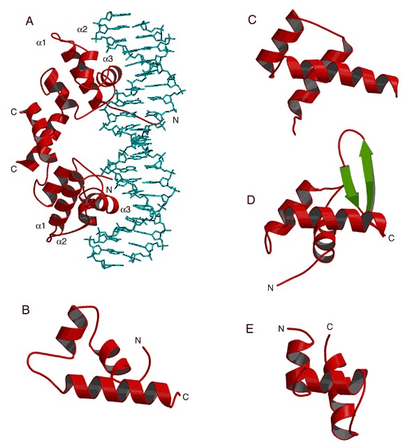 Figure 15