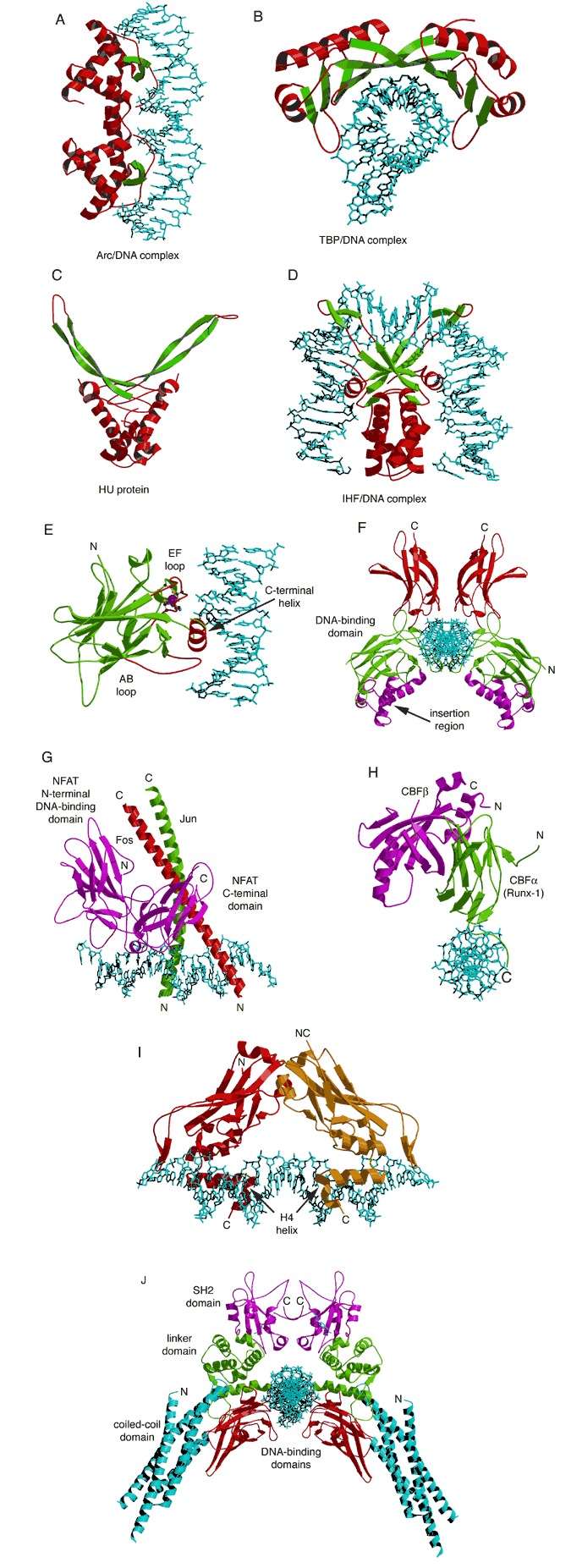 Figure 19