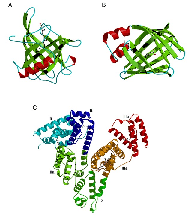 Figure 41