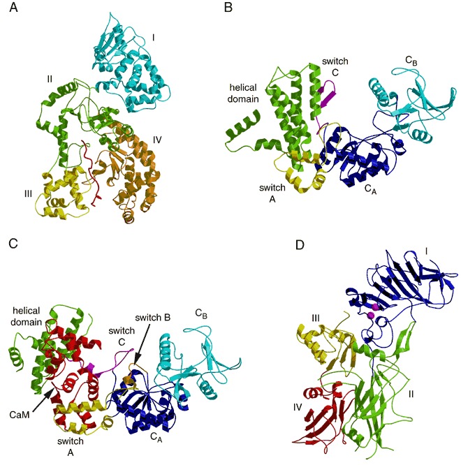 Figure 40