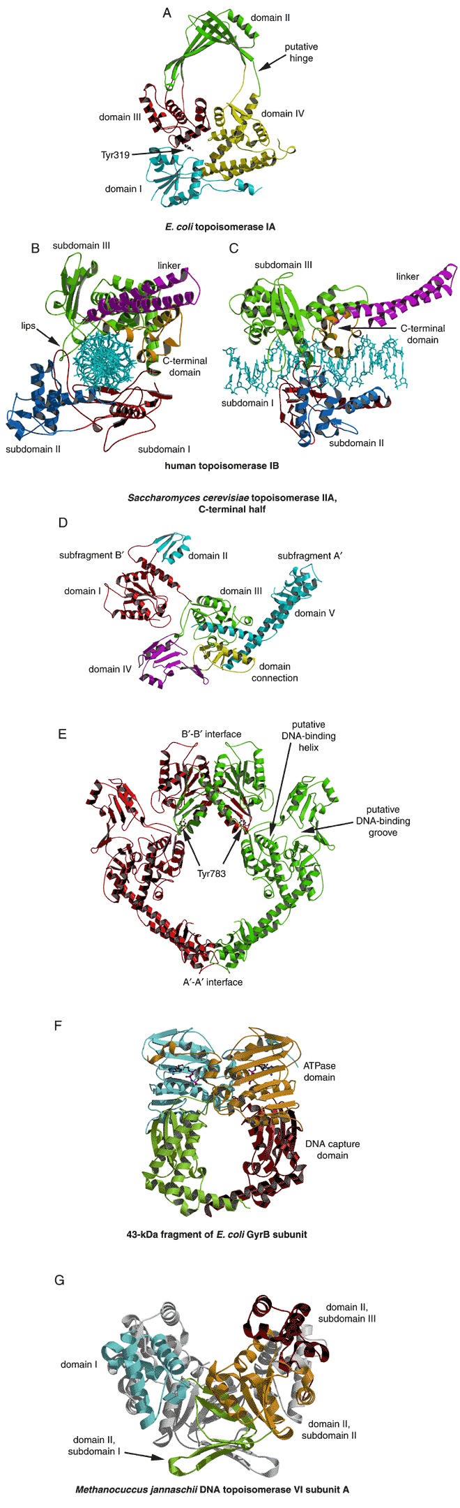 Figure 30