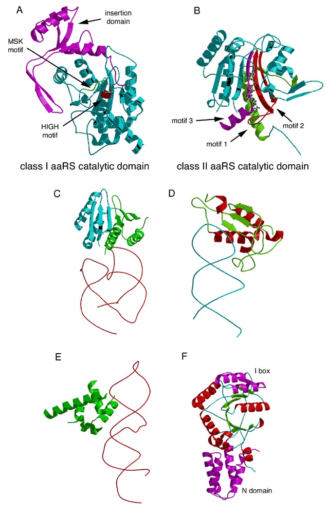 Figure 24