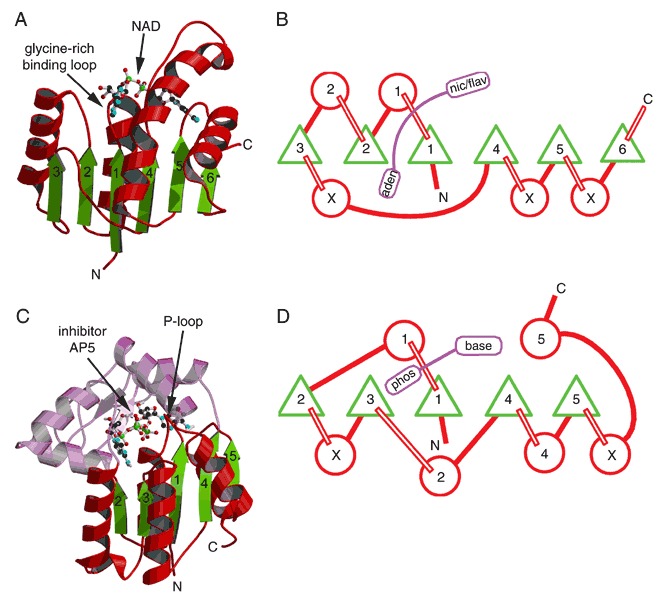 Figure 27