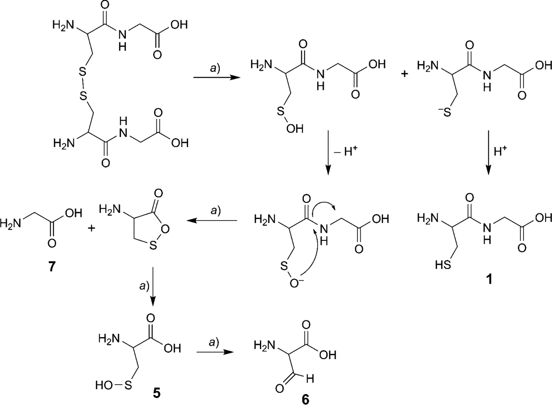 Scheme 3.