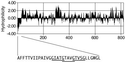 FIG. 1