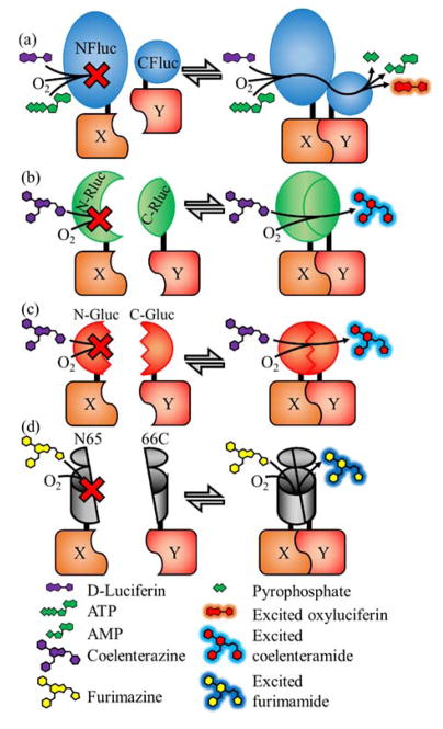 FIGURE 6