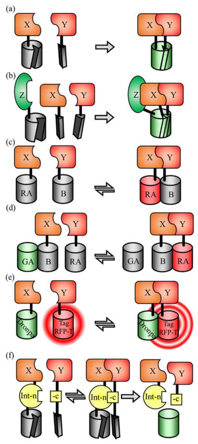 FIGURE 4